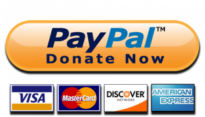 paypal-donate-button-high-quality-www.liviutudose.ro